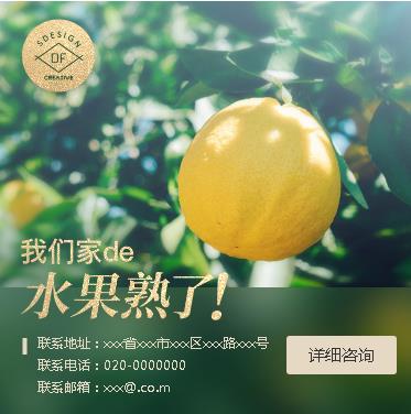 连山果园果林小程序开发